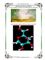 Bài tập Hóa Phân tích 1 có hướng dẫn chi tiết