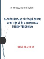 Đặc điểm lâm sàng và kết quả điều trị áp xe thận và áp xe quanh thận tại bệnh viện chợ rẫy