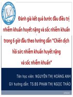 Đánh giá kết quả bước đầu điều trị nhiễm khuẩn huyết nặng và sốc nhiễm khuẩn trong 6 giờ đầu theo hướng dẫn chiến dịch hồi sức nhiễm khuẩn huyết nặng và sốc nhiễm khuẩn
