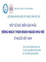 Một số đặc điểm giải phẫu động mạch thận đoạn ngoài nhu mô ở người việt nam