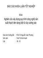 san xuat thach den tu cay suong sao 2313