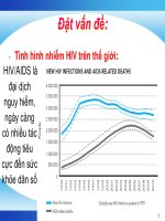 Chi phí hiệu quả của hệ thống y tế việt nam với HIV AIDS
