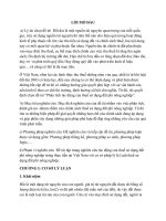 Tiểu luận phân tích tác động của thuế sử dụng đất phi nông nghiệp