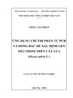 Ứng dụng chỉ thị phân tử PCR và dòng BAC để xác định gen mùi thơn trên cây lúa (Oryza sative L.)