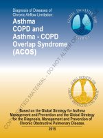 Huong dan dieu tri hoi chung chong lap hen COPD GOLD and GINA 2015 