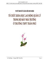 SKKN Tổ Chức Khoa Học Lao Động Quản Lý Trong Bộ Máy Nhà Trường Ở Trường THPT Trần Phú