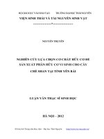 Nghiên cứu lựa chọn cơ chất hữu cơ để sản xuất phân hữu cơ vi sinh cho cây chè Shan tại tỉnh Yên Bái
