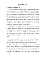 Sáng kiến kinh nghiệm sử dụng tranh biếm họa trong dạy học địa lí phần khái quát nền kt – xh thế giới để phát triển tư duy phê phán cho học sinh lớp 11