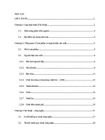 designing a fruit beverages and preserves with a capacity of roughly 20 tons of materials per annum