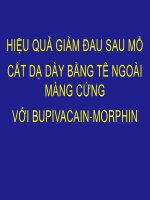 Hiệu quả giảm đau sau mổ cắt dạ dày bằng tê ngoài màng cứng với bupivacain morrphin