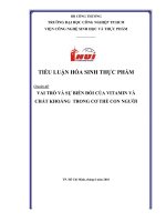 Vai trò và sự biến đổi vitamin và chất khoáng trong cơ thể người