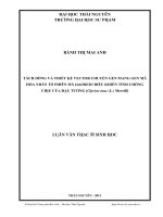 Tách dòng và thiết kế vector chuyển gen mang gen mã hóa nhân tố phiên mã GmDREB3 điều khiển tính chống chịu của cây đậu tương [Glycine Max (L.) Merrill]