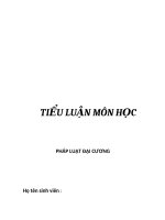 Tiểu luận môn học pháp luật đại cương trình bày và so sánh các kiểu pháp luật trong lịch sử   từ đó rút ra ưu nhược điểm