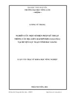Nghiên cứu một số biện pháp kỹ thuật trồng cây địa liền (Kaempferia Galanga) tại huyện Lục Ngạn tỉnh Bắc Giang