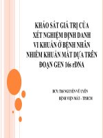 Khảo sát giá trị của xét nghiệm định danh vi khuẩn ở bệnh nhân nhiễm khuẩn mắt dựa trên đoạn gen 15s rDNA