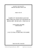 Nghiên cứu thành phần loài nấm đông trùng hạ thảo tại vườn quốc gia Hoàng Liên - huyện SaPa - tỉnh Lào Cai