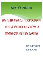 Đánh giá hiệu quả vô cảm của ropivacaine 0,5% trong gây tê đám rối thần kinh cánh tay trên xương đòn dưới hướng dẫn siêu âm