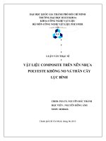 Vật liệu composite trên nền nhựa polyeste không no và thân cây lục bình 