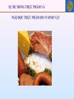 Vi sinh vật trong thực phẩm