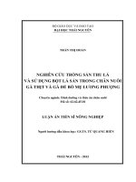 Nghiên cứu trồng sắn thu lá và sử dụng bột lá sắn trong chăn nuôi gà thịt và gà đẻ bố mẹ lương phượng
