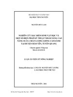 Nghiên cứu đặc điểm sinh vật học và một số biện pháp kỹ thuật nhằm nâng cao năng suất, chất lượng giống cam sành tại huyện Hàm Yên, Tuyên Quang