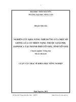 Nghiên cứu khả năng thích ứng của một số giống lúa thuộc loài phụ Japonica tại Thành phố Yên Bái, tỉnh Yên Bái