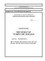 SKKN Một Số Bài Tập Về Điều Chế  Kim Lọai