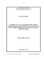 Nghiên cứu các giải pháp phát triển trồng rừng nguyên liệu giấy tại Công ty lâm nghiệp Vĩnh Hảo, huyện Bắc Quang tỉnh Hà Giang