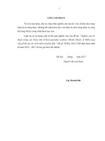 Nghiên cứu một số cơ sở khoa học để trồng rừng xoan nhừ (choerospondias axillaris (roxb ) burtt  et hill) cung cấp gỗ lớn tại sơn la và lào cai 