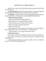 Kich ban kiem phieu hoi nghi thu nhat BCH