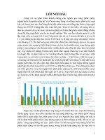 Tìm hiểu về kiểm thử phần mềm tự động và ứng dụng
