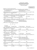 Bài tập tổng hợp phần este