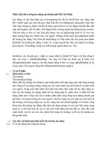 Phát triển thị trường lao động tại thành phố Hồ Chí Minh