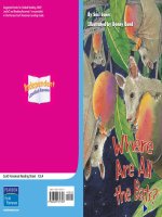 K 6 4 where are all the bats 