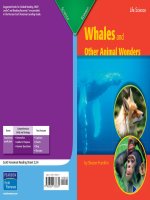 3 3 4 whales and other animal wonders (life science) 
