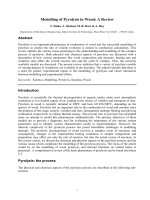 Modelling of pyrolysis in wood