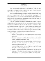 Nghiên cứu mã turbo trong hệ thống CDMA  sd 