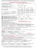 B11 CHUYEN DE AMIN DAP AN