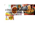 Công nghệ sản xuất cà ri gà đóng hộp 