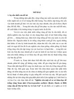 Nghiên cứu một số cơ sở khoa học để trồng rừng xoan nhừ (choerospondias axillaris (roxb ) burtt  et hill) cung cấp gỗ lớn tại sơn la và lào cai (tt) 