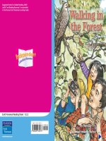 K 2 2 walking in the forest 