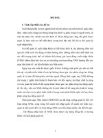 Quản lý nhà nước đối với hoạt động xuất nhập khẩu tại CHDCND lào