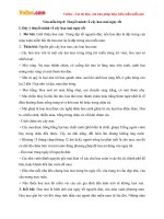 Văn mẫu lớp 8: Thuyết minh về cây hoa mai ngày tết 