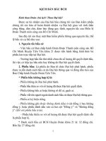 Kich ban bau BCH, Bí thư, Đoàn đại biểu dự ĐH Đoàn cấp trên