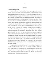 Thực trạng phát triển tín dụng bán lẻ tại ngân hàng TMCP công thương việt nam   chi nhánh ninh bình 