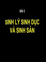 Sinh lý sinh dục và sinh sản Đại học Y Hà Nôi