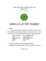 THỰC TRẠNG BỆNH VIÊM tử CUNG TRÊN đàn lợn nái NUÔI tại TRANG TRẠI DOANH CHÍNH – HUYỆN văn GIANG –TỈNH HƯNG yên và THỬ NGHIỆM điều TRỊ BẰNG AMOXIL RETARD 