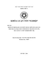 KHẢO sát BỆNH lợn CON PHÂN TRẮNG TRÊN đàn lợn CON THEO mẹ tại TRẠI CHĂN NUÔI HOÀNG THỊ THÁI tân yên, bắc GIANG và THỬ NGHIỆM điều TRỊ 