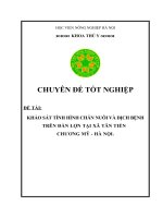 KHẢO sát TÌNH HÌNH CHĂN NUÔI và DỊCH BỆNH TRÊN đàn lợn tại xã tân TIẾN CHƯƠNG mỹ   hà nội 