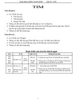 Giải phẫu tâm nhĩ phải 1 Đại học Y Hà Nội